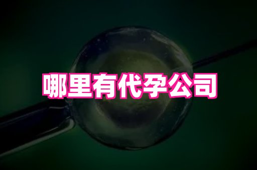 61助孕网 3