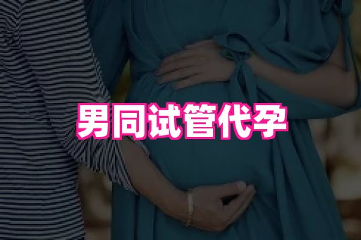 61助孕网 4